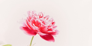 78217de-7-Arsenal8217i-durdurabilene-ask-olsun-featured