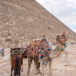 Galatasaray-Avrupa-Sahnesinde-338-Maclik-Dev-Bir-Tarihe-Imza-Atti-featured